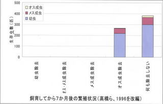 ゴキブリの雄と雌の除去実験.jpg