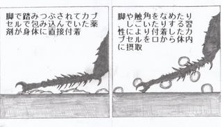 マイクロカプセルとゴキブリ.jpg